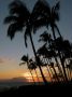 02KeaLani - 17 * Sunset from Sarento's on the Beach